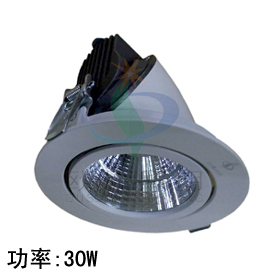 LED象鼻燈30W